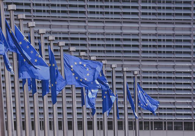 ΔΕΕ111: Institutional Law of the European Union