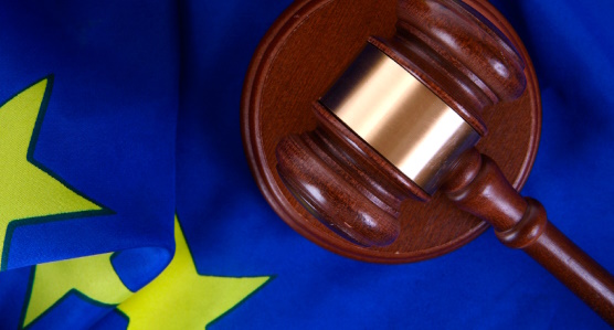 European Union Law