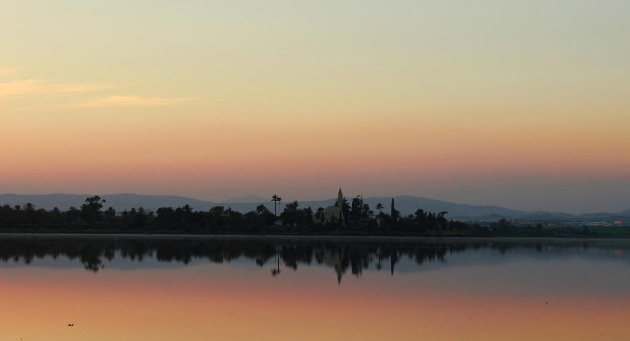 Wetlands 2