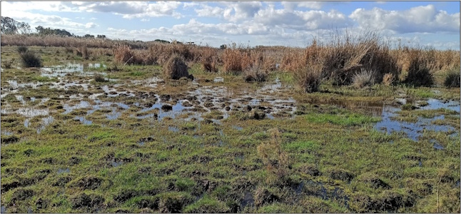 Άρθρο για την Προστασία και Βιώσιμη Διαχείριση της Αλυκής Ακρωτηρίου