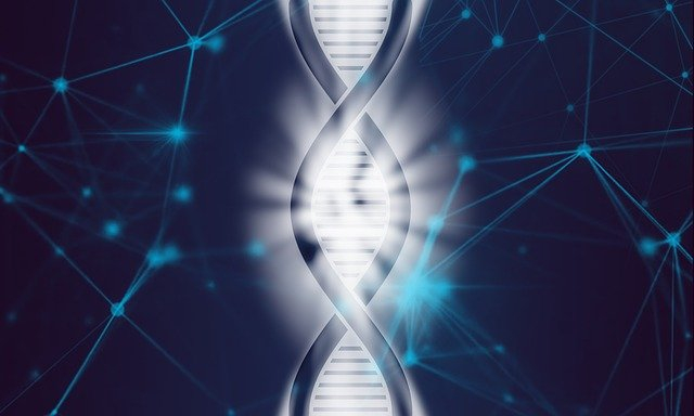 BIH522: Bioethics and Human Genome