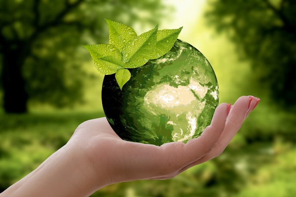 MBA616: Corporate Sustainability and Responsibility