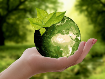 MBA616: Corporate Sustainability and Responsibility